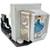 1610HD replacement lamp 1610HD replacement lamp