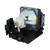 Compact-238 Original OEM replacement Lamp