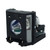 PG-M20XA Original OEM replacement Lamp