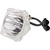 Jaspertronics™ OEM 69490 Bulb (Lamp Only) Various Applications with Original High-Quality bulb inside - 240 Day Warranty