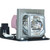 EW615i-LAMP