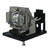 PDG-DXT10L-LAMP