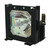 XG-P25XU-LAMP