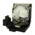 Vivid-LW40U-LAMP