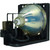 LC-X999 Original OEM replacement Lamp
