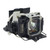 VPL-CX20A Original OEM replacement Lamp