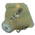 AVIELO-Radiance Original OEM replacement Lamp