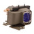 SP-LAMP-043-A
