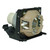 Original Inside Lamp & Housing for the Dream Vision CINEXONE Projector - 240 Day Warranty