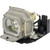 ES5 replacement lamp
