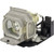 VPL-EX5 replacement lamp