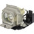 VPL-EX5 replacement lamp
