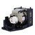 XR-10S-L Original OEM replacement Lamp