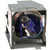 DP-5600 Original OEM replacement Lamp