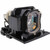 CP-AW252WNM replacement lamp
