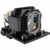 CP-AW252WNM replacement lamp