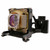 PB8210-LAMP PB8210-LAMP