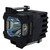 DLA-HD1-BE replacement lamp