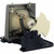 U6-132 Original OEM replacement Lamp