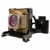 VP6110-LAMP