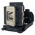 PDG-DHT8000L replacement lamp