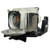 VPL-EX145-LAMP