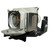 VPL-EX145-LAMP