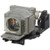 VPL-EW130-LAMP