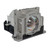 VPL-EX100-LAMP