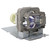 DX813 replacement lamp