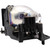 PT-AE700E-LAMP