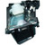 RAVEN-930 Original OEM replacement Lamp