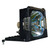 LX55 Original OEM replacement Lamp