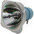 Philips MSD Platinum 5R Lamp for the PR LIGHTING XR 200 BEAM