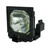 PLC-EF30E-LAMP