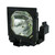 PLC-XF31NL-LAMP
