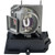 P5390W Original OEM replacement Lamp