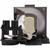 EW1610 replacement lamp