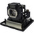 PT-AE3000U-LAMP