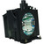 PT-DW5100-SINGLE replacement lamp