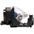 PT-AE900E replacement lamp