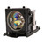 dv485 Original OEM replacement Lamp