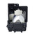 UM301W replacement lamp