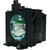 PT-DW5100-LAMP
