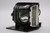 Image-Pro-8746A Original OEM replacement Lamp