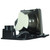 Original Inside Lamp & Housing for the Nobo X20E Projector with Philips bulb inside - 240 Day Warranty