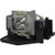 Jaspertronics™ OEM Lamp & Housing for The Optoma TX752 Projector with Original High-Quality bulb inside - 240 Day Warranty