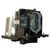 CP-DW10N replacement lamp
