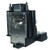 PG-D4010X replacement lamp