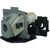 DX609-LAMP